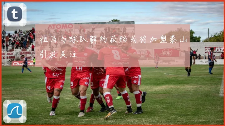 祖马与球队解约获赔或将加盟泰山引发关注