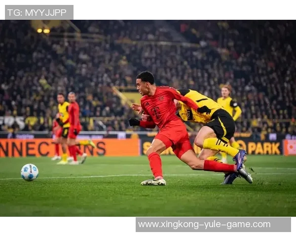 德甲新赛季观众热情高涨多特与拜仁上座人数引领潮流