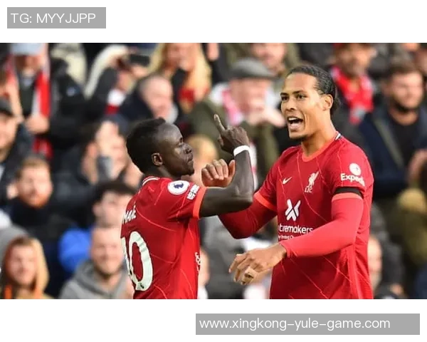 阿利松与戈麦斯意外相撞队医紧急救助后比赛得以继续进行 阿利松与戈麦斯意外相撞队医紧急救助后比赛得以继续进行